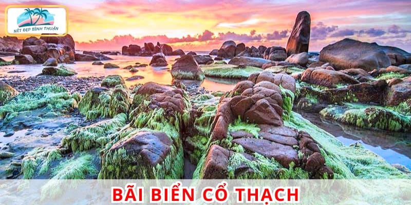 bãi biển Cổ Thạch