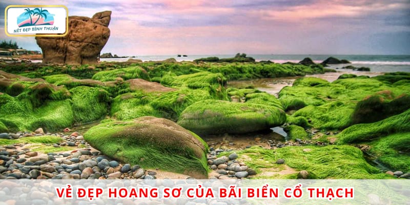 Biển Cổ Thạch chính là món quà mà mẹ thiên nhiên ban tặng