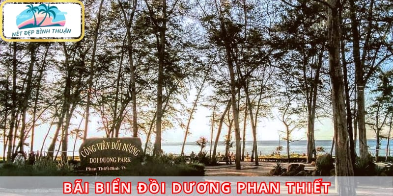 bãi biển Đồi Dương