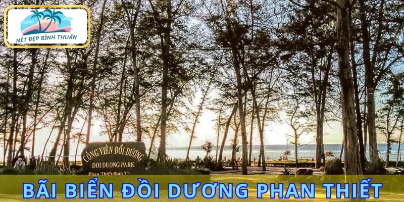 Bãi biển Đồi Dương đã in dấu sâu đậm trong chặng đường phát triển của thành phố Phan Thiết