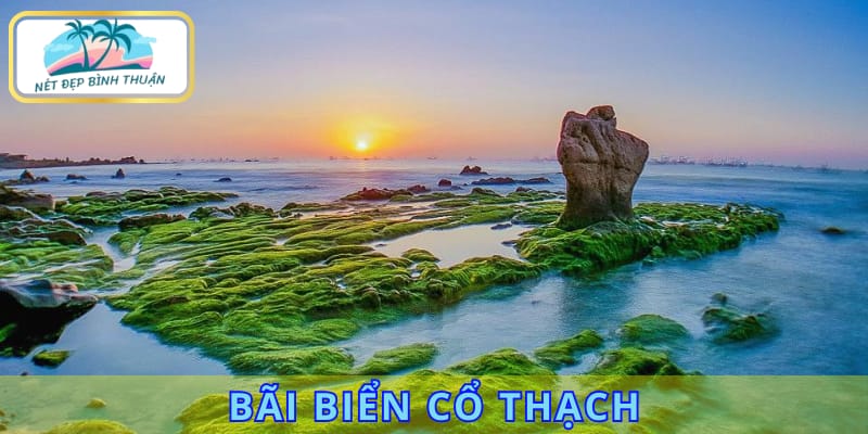 Bãi biển Cổ Thạch gây ấn tượng nhất với du khách trong các bãi biển Phan Thiết