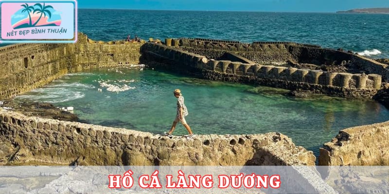 Hồ Cá Làng Dương - tọa độ “sống ảo” độc lạ tại Phú Quý