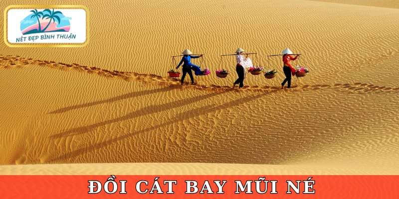  Nếu bạn vẫn chưa biết Phan Thiết có gì chơi thì hãy đến Đồi cát bay