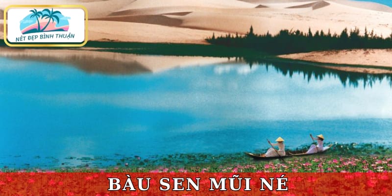 Bàu Sen (Bàu Trắng) - ốc đảo giữa đồi cát mênh mông