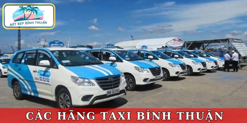 Các hãng taxi Bình Thuận uy tín nhất hiện nay 