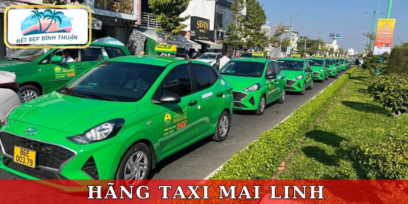 Taxi Mai Linh giá rẻ và đáng tin cậy nhất 4