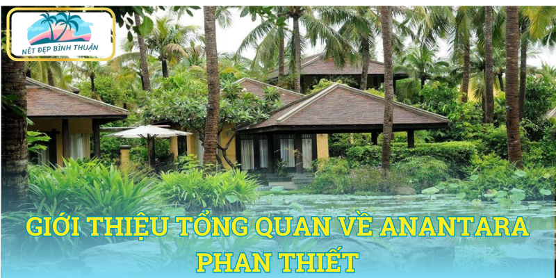 Giới thiệu tổng quan về Anantara Phan Thiết