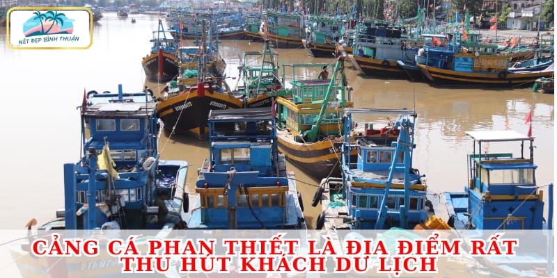 Cảng cá Phan Thiết là địa điểm rất thu hút khách du lịch hằng năm