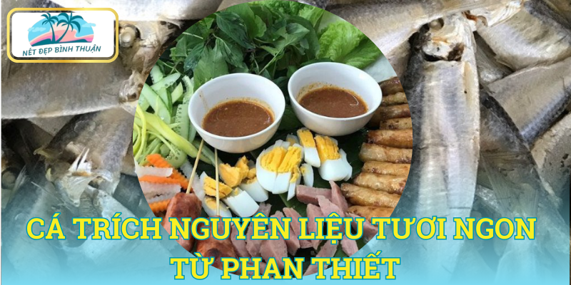 Cá trích nguyên liệu tươi ngon từ Phan Thiết