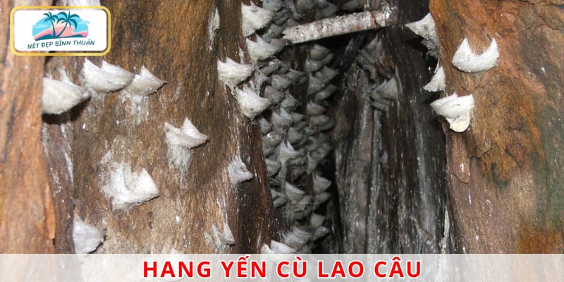 Hang Yến là nơi sinh sống của chim yến tại đảo, được bảo vệ cẩn thận