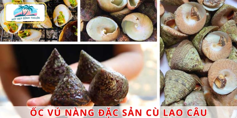 Ốc Vú Nàng được chế biến luộc, nướng, mang hương vị đặc trưng