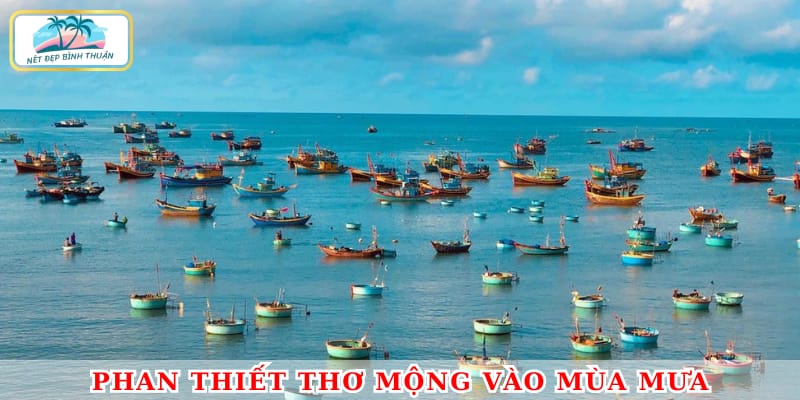 Phan Thiết mát mẻ, yên bình giữa những cơn mưa