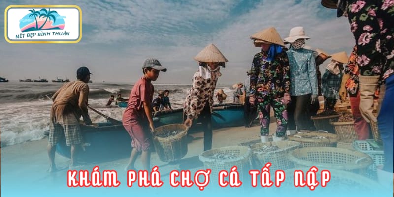 Khám phá chợ cá tấp nập