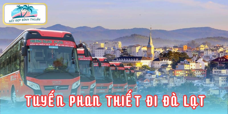 Lộ trình xe Phương Trang Phan Thiết đi Đà Lạt – Sự lựa chọn an toàn