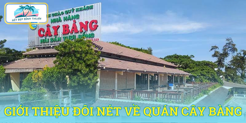 Quán Cây Bàng Phan Thiết - Địa điểm ẩm thực tuyệt vời bên biển