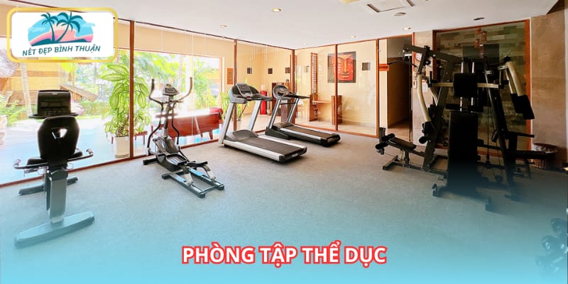 Duy trì thói quen luyện tập với phòng gym trang bị hiện đại