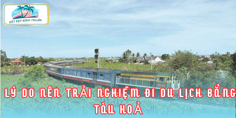  Lý do nên trải nghiệm đi du lịch bằng vé tàu đi Phan Thiết