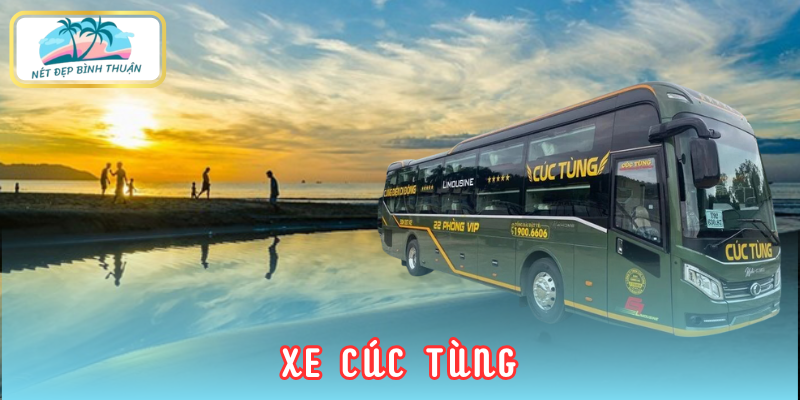 Xe Cúc Tùng - Thương hiệu xe Vũng Tàu Phan Thiết mới với dịch vụ chất lượng