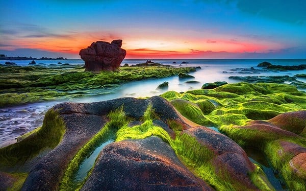 bai-bien-co-thach-chon-bong-lai-2