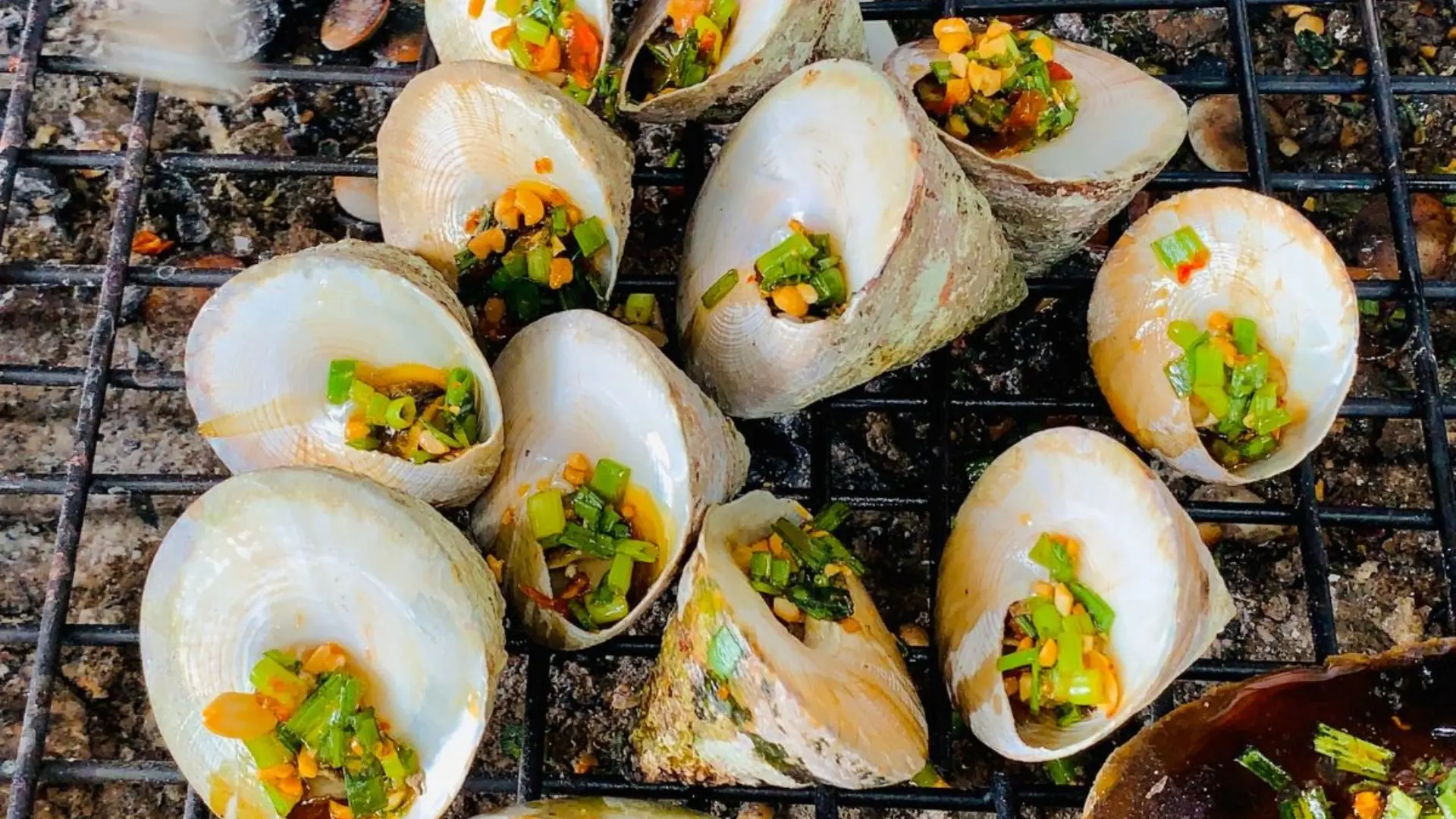 cu-lao-cau-phan-thiet