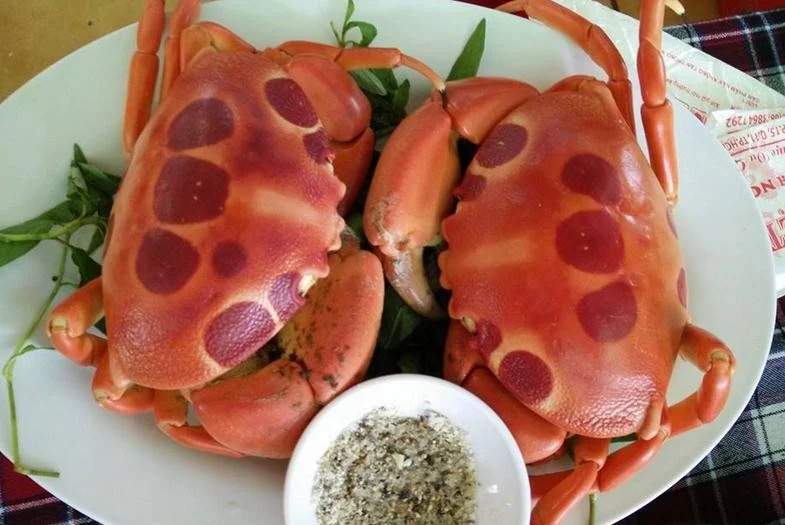 cu-lao-cau-phan-thiet