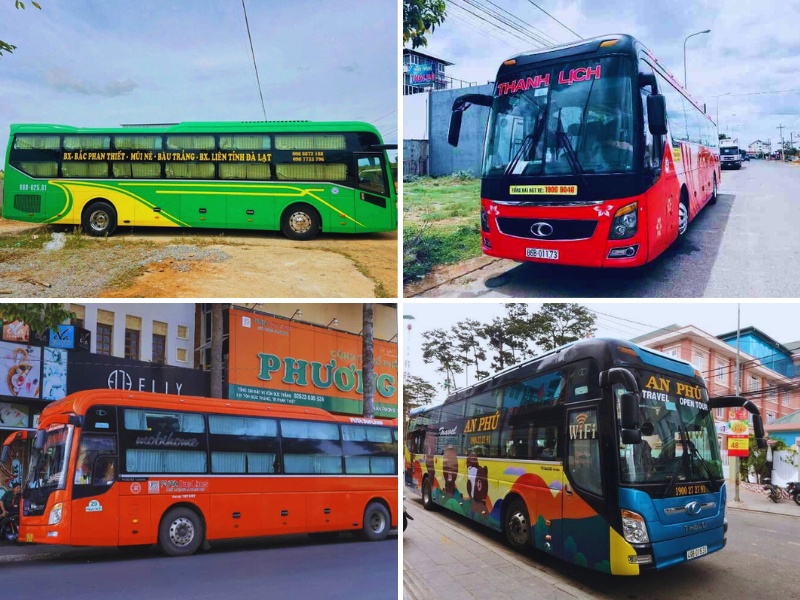 top-5-nha-xe-phan-thiet-di-da-lat