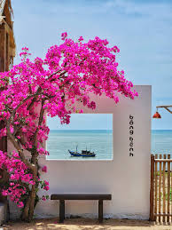 top-7-quan-cafe-phan-thiet