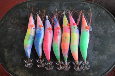 cau-muc-dem-o-phan-thiet (1)