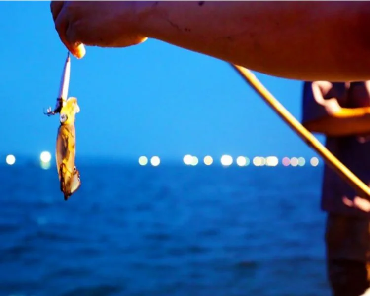 cau-muc-dem-o-phan-thiet (2)