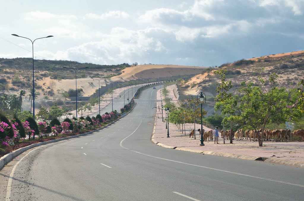 cung-duong-ven-bien-dep-nhat-phan-thiet-2025