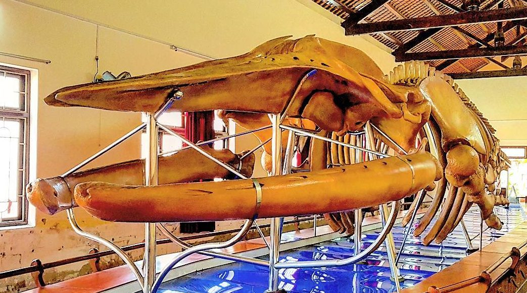 dinh-van-thuy-tu (4)