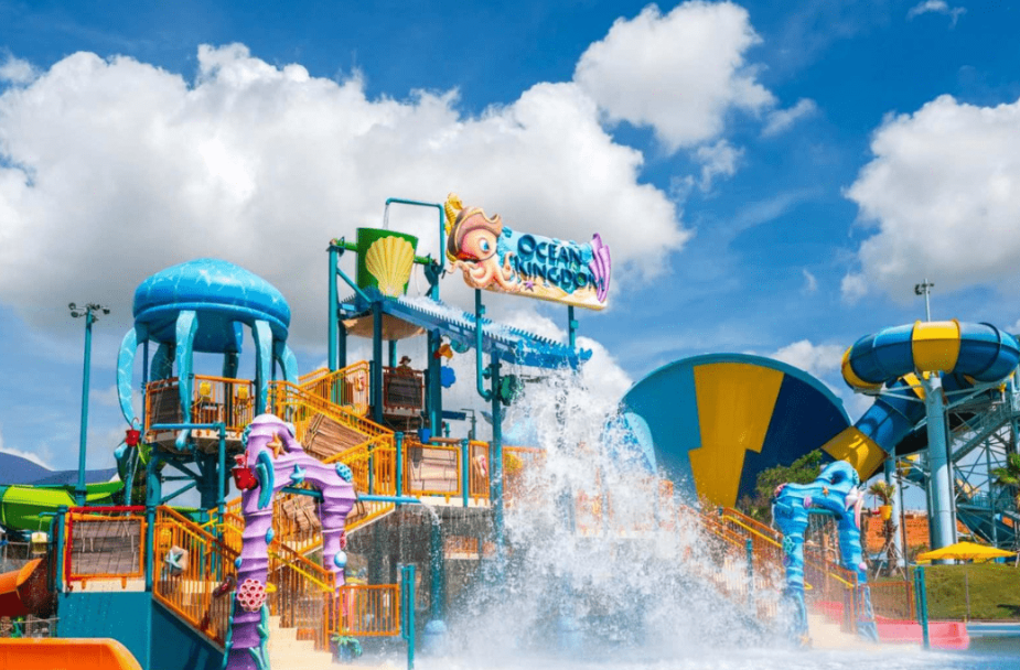 mui-ne-co-gi-choi (4)