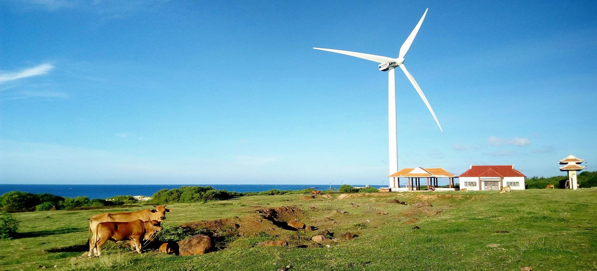 nha-may-dien-gio-phu-quy (5)