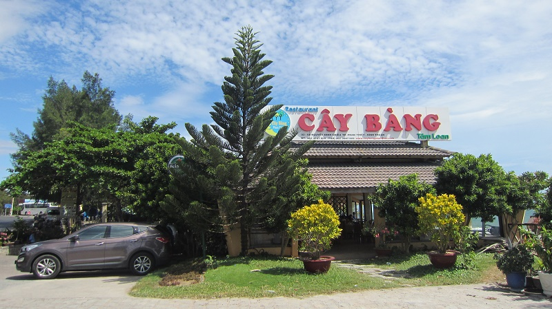 quan-cay-bang-phan-thiet (1)