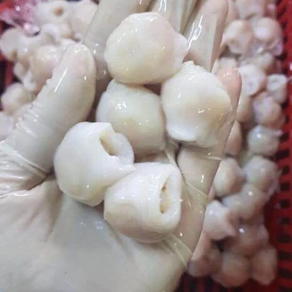 rang-muc-phan-thiet (4)