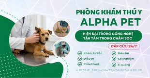 thu-y-phan-thiet (2)