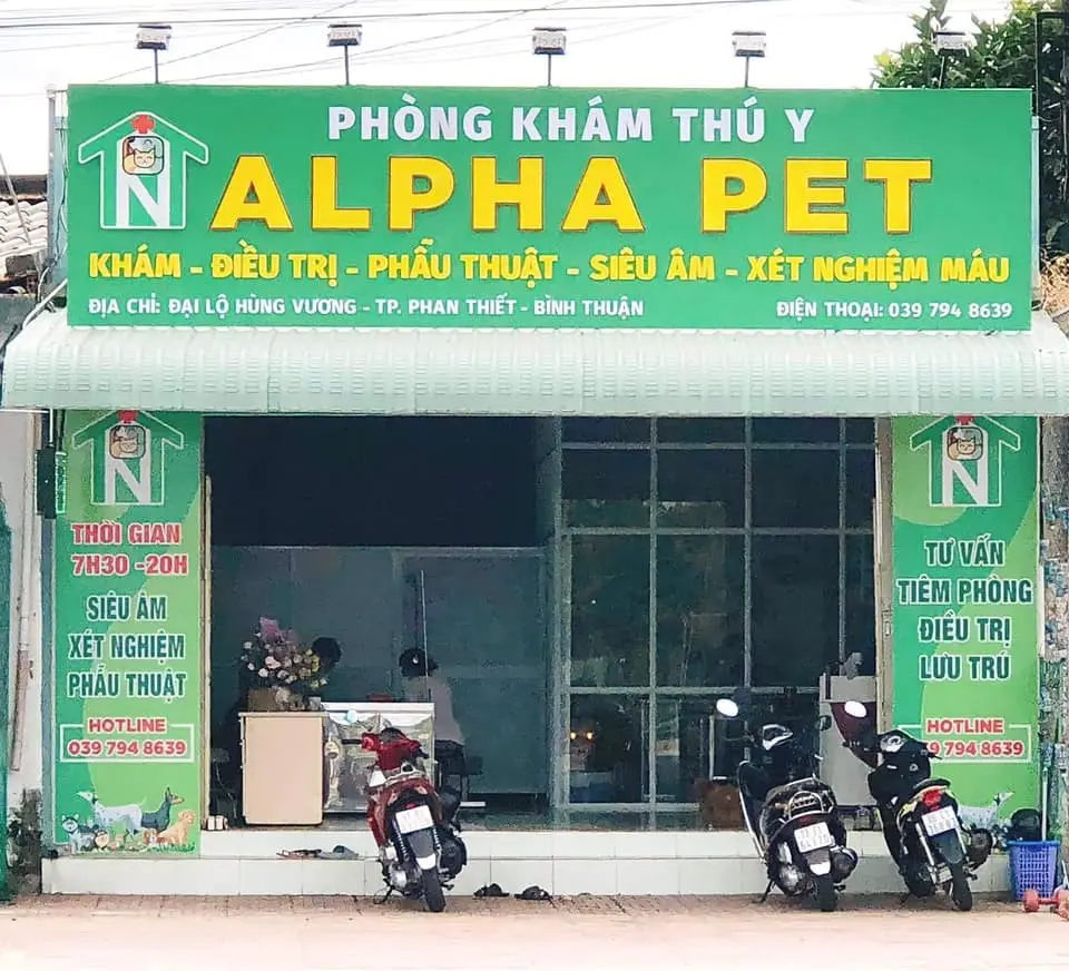 thu-y-phan-thiet (5)