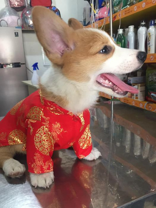 thu-y-phan-thiet (7)