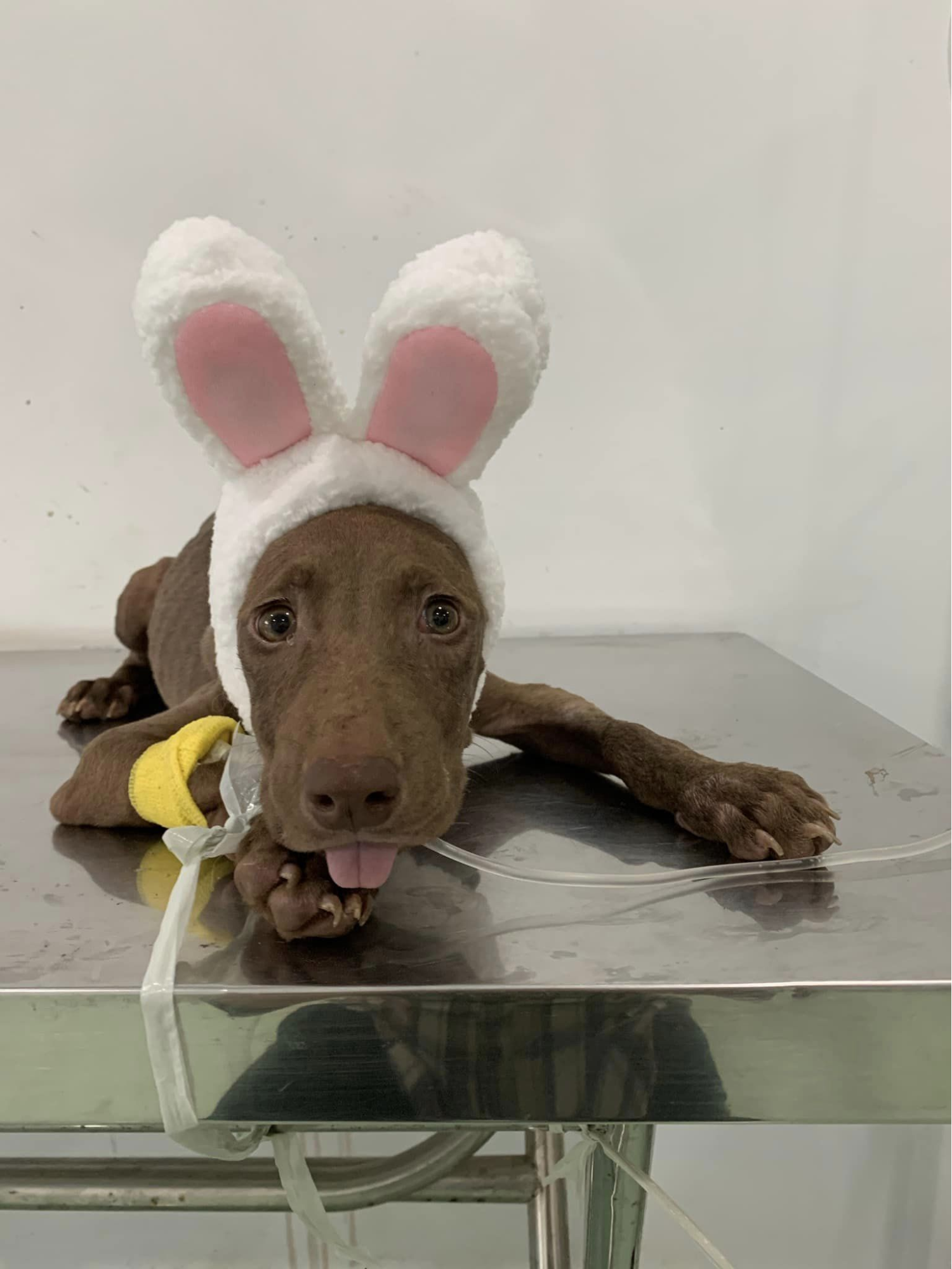 thu-y-phan-thiet (9)