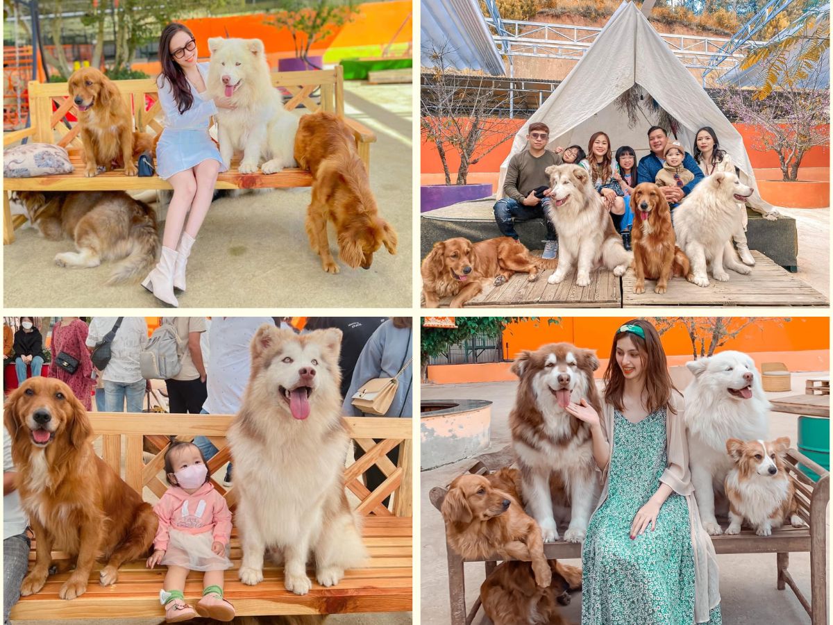 trang-trai-cho-lon-nhat-phan-thiet