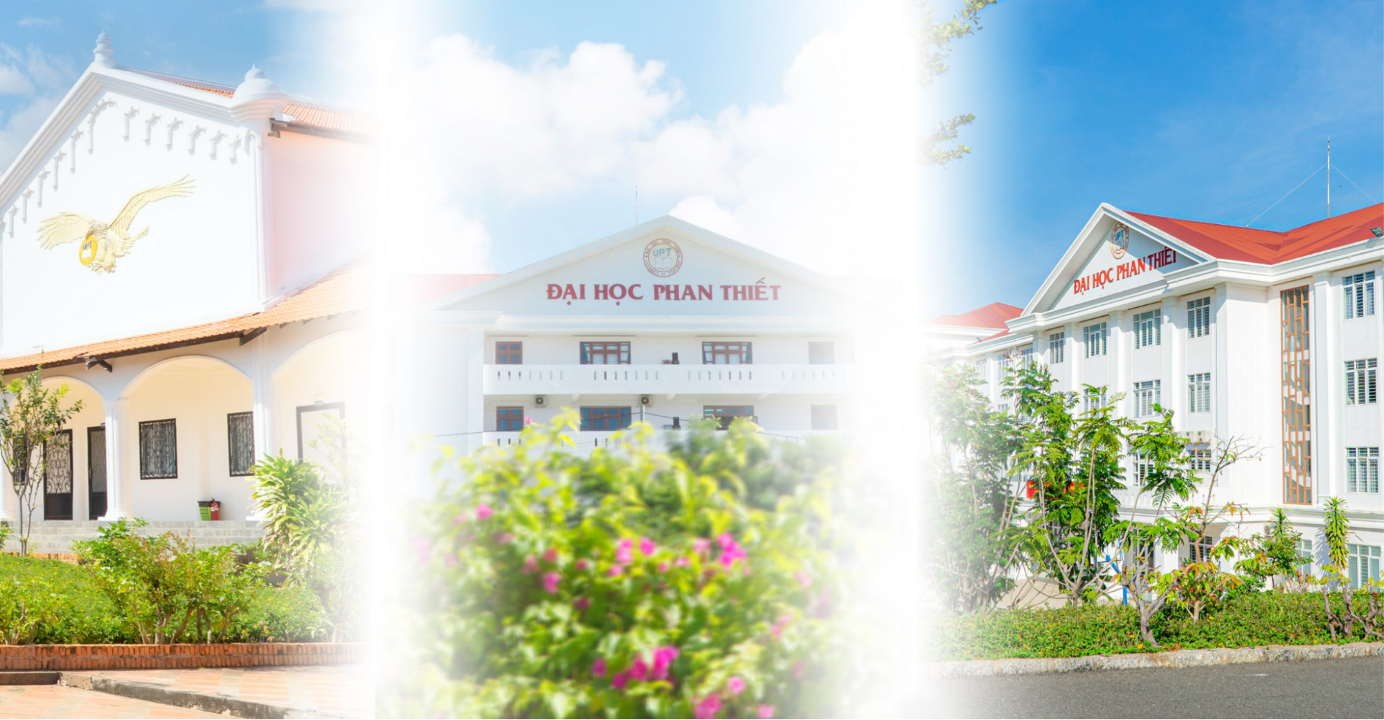 truong-dai-hoc-phan-thiet (2)