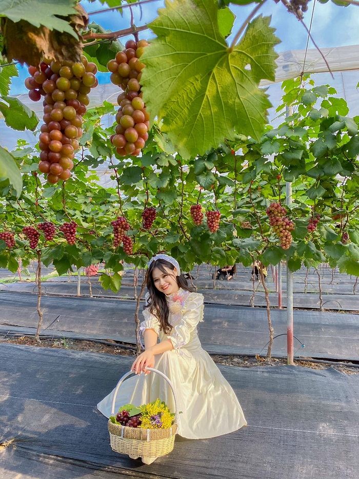 vuon-nho-phan-thiet (3)