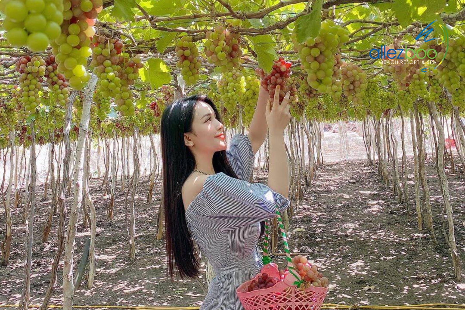 vuon-nho-phan-thiet (4)