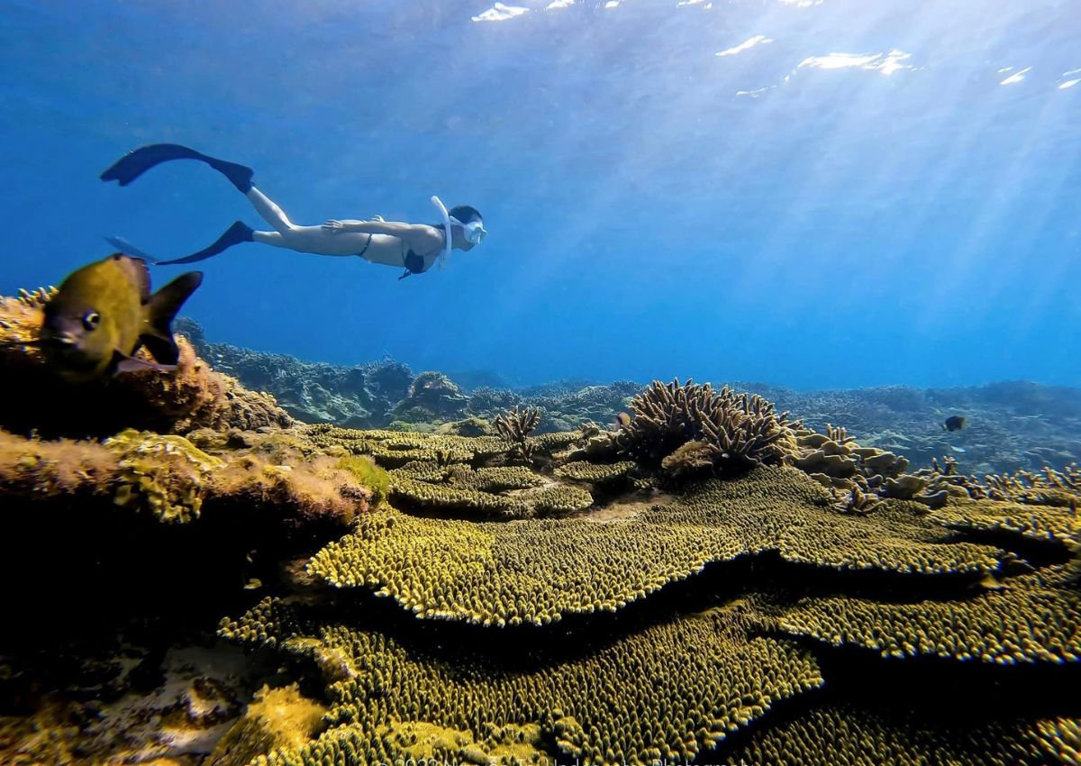 lan-bien-phu-quy (1)