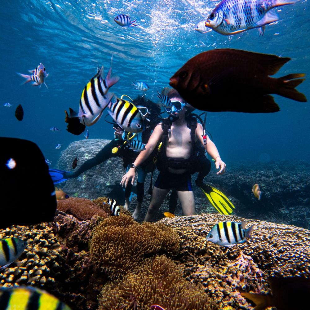 lan-bien-phu-quy (3)