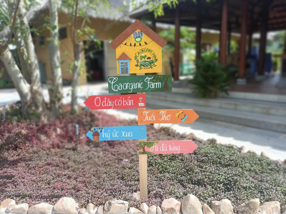 khu-vui-choi-phan-thiet (6)