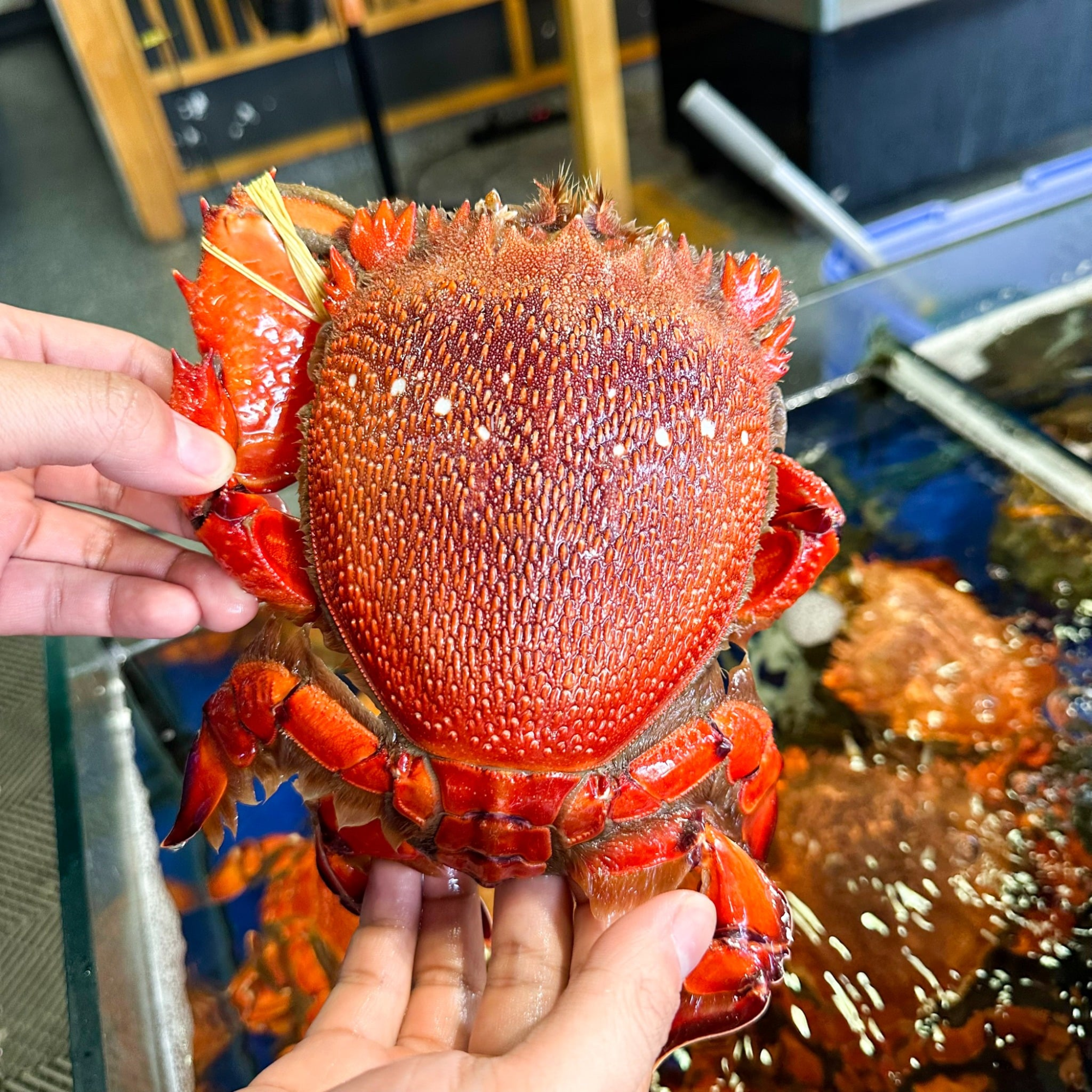 vinh-trieu-duong (4)